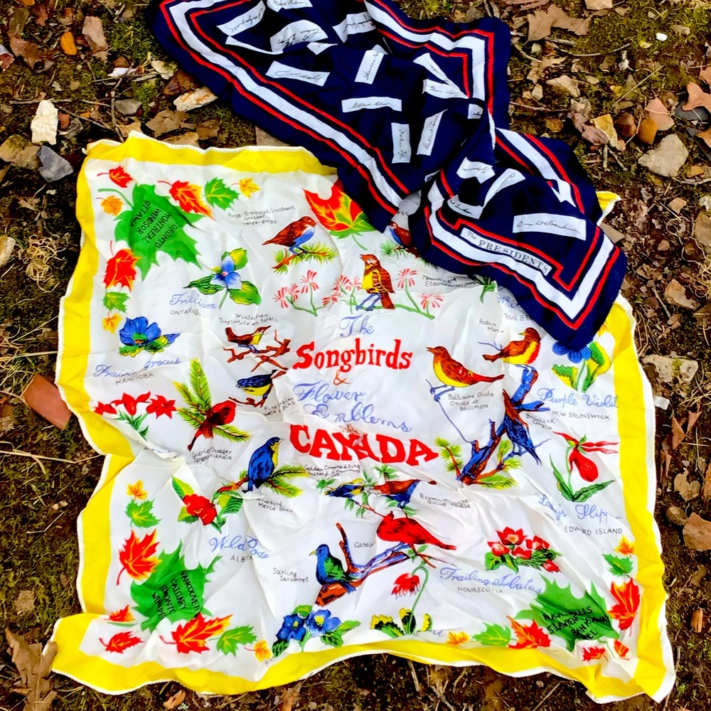 Vintage Scarf Head Wrap Canadian Songbirds Birds Red Blue Primary Italy Japan